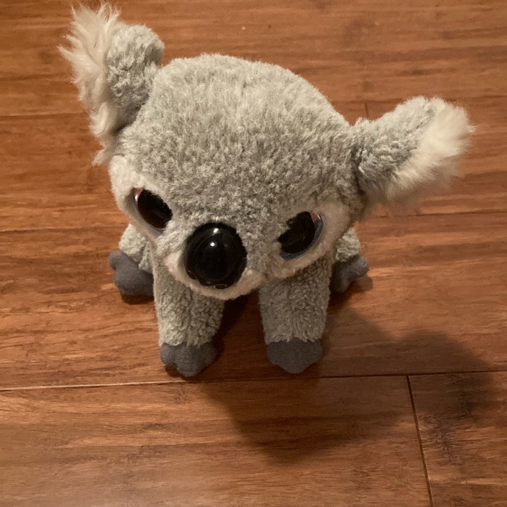 Kookoo the koala
